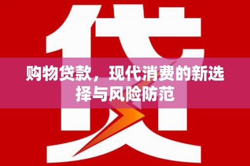 龙沙购物贷款，现代消费的新选择与风险防范