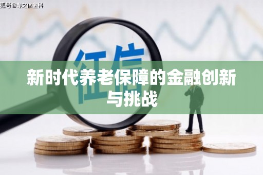 龙沙新时代养老保障的金融创新与挑战