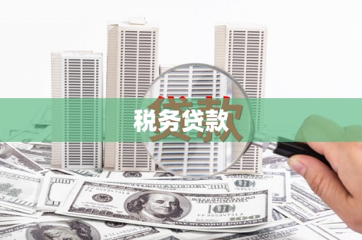 龙沙税务贷款