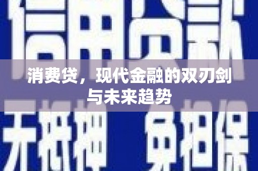 龙沙消费贷，现代金融的双刃剑与未来趋势