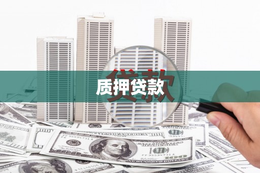 龙沙质押贷款