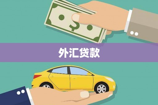 龙沙外汇贷款