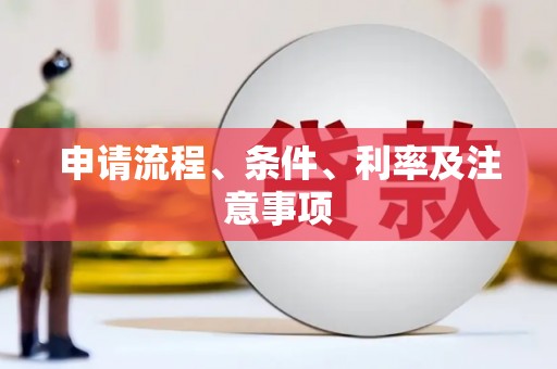 龙沙申请流程、条件、利率及注意事项