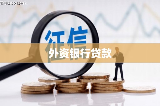 龙沙外资银行贷款