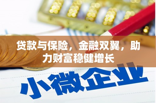 龙沙贷款与保险，金融双翼，助力财富稳健增长