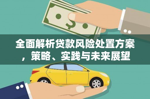 龙沙全面解析贷款风险处置方案，策略、实践与未来展望