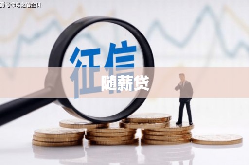 龙沙随薪贷