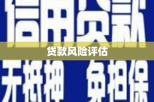 龙沙贷款风险评估