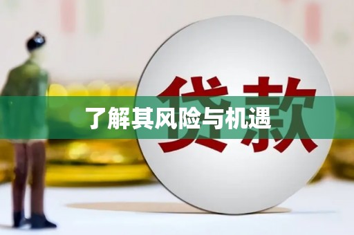 龙沙了解其风险与机遇