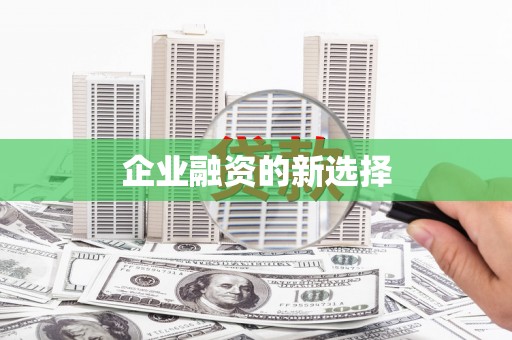 龙沙企业融资的新选择