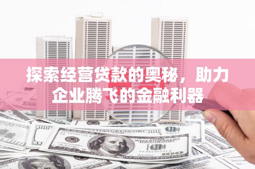 龙沙探索经营贷款的奥秘，助力企业腾飞的金融利器