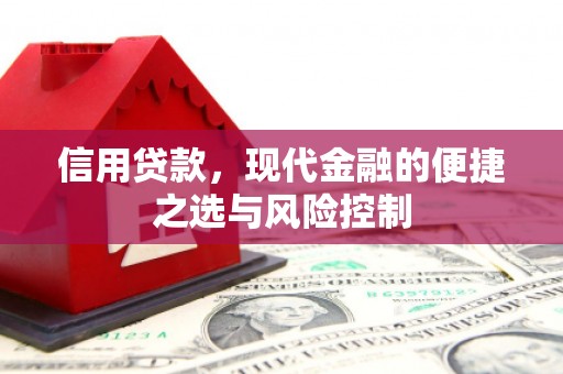 龙沙信用贷款，现代金融的便捷之选与风险控制