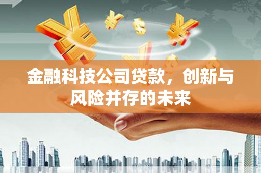 龙沙金融科技公司贷款，创新与风险并存的未来