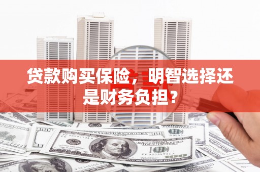 龙沙贷款购买保险，明智选择还是财务负担？