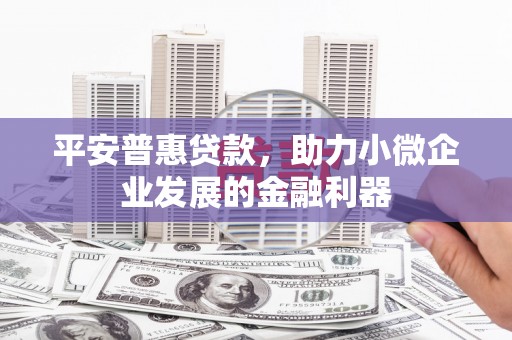 龙沙平安普惠贷款，助力小微企业发展的金融利器