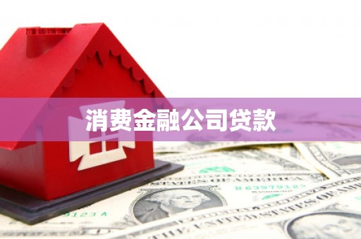 龙沙消费金融公司贷款
