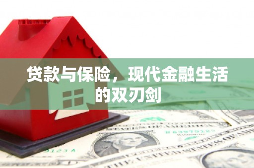 龙沙贷款与保险，现代金融生活的双刃剑