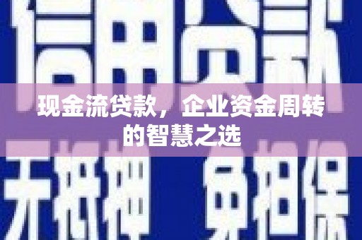 龙沙现金流贷款，企业资金周转的智慧之选