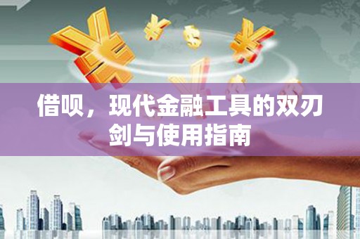 龙沙借呗，现代金融工具的双刃剑与使用指南