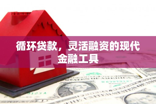 龙沙循环贷款，灵活融资的现代金融工具
