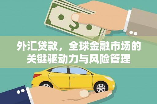 龙沙外汇贷款，全球金融市场的关键驱动力与风险管理