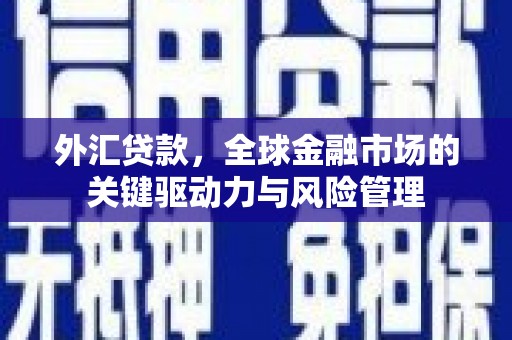 龙沙外汇贷款，全球金融市场的关键驱动力与风险管理