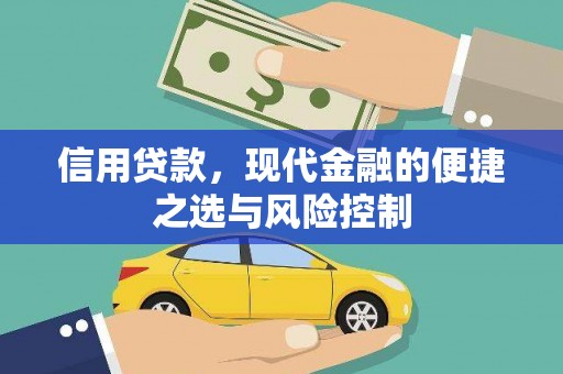 龙沙信用贷款，现代金融的便捷之选与风险控制