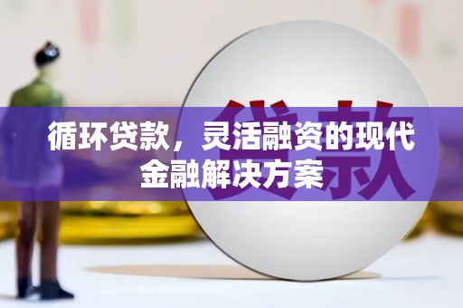 龙沙循环贷款，灵活融资的现代金融解决方案