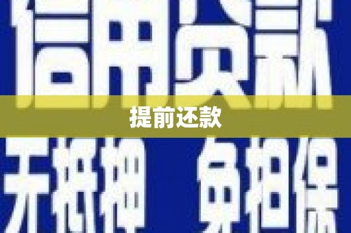 龙沙提前还款