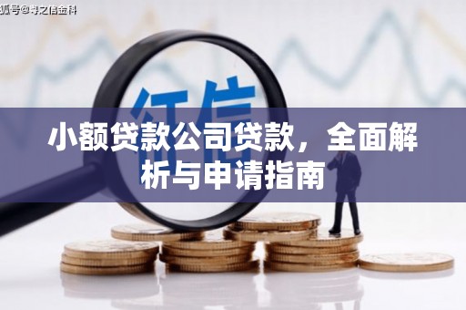 龙沙小额贷款公司贷款，全面解析与申请指南