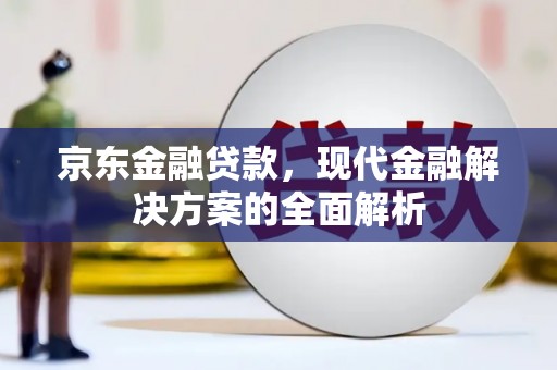龙沙京东金融贷款，现代金融解决方案的全面解析