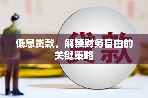 龙沙低息贷款，解锁财务自由的关键策略