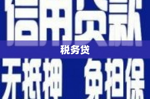 龙沙税务贷