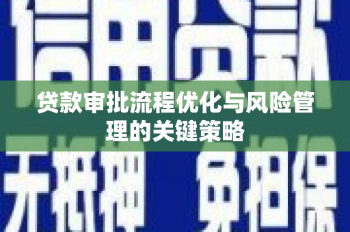 龙沙贷款审批流程优化与风险管理的关键策略