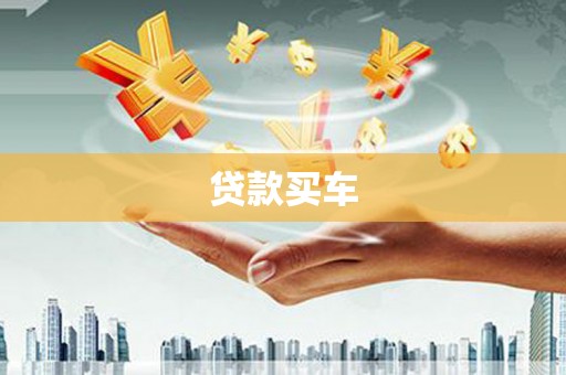 龙沙贷款买车