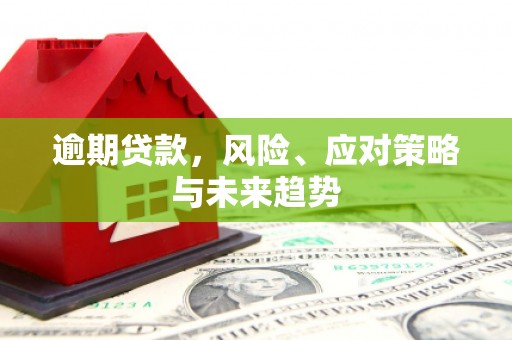 龙沙逾期贷款，风险、应对策略与未来趋势