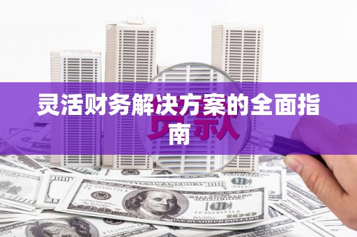 龙沙灵活财务解决方案的全面指南