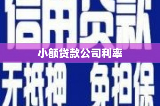龙沙小额贷款公司利率