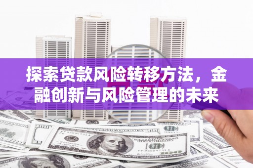 龙沙探索贷款风险转移方法，金融创新与风险管理的未来