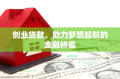 龙沙创业贷款，助力梦想起航的金融桥梁