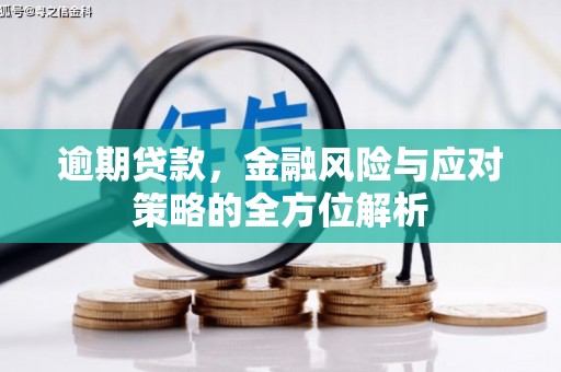 龙沙逾期贷款，金融风险与应对策略的全方位解析