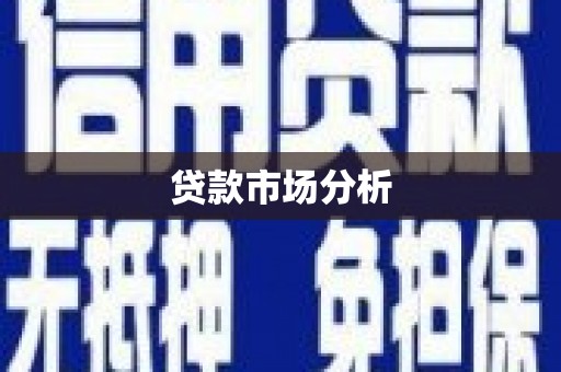 龙沙贷款市场分析