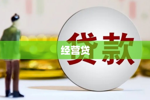 龙沙经营贷