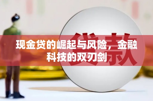 龙沙现金贷的崛起与风险，金融科技的双刃剑