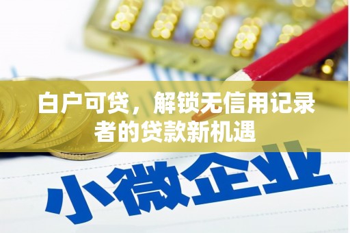 龙沙白户可贷，解锁无信用记录者的贷款新机遇