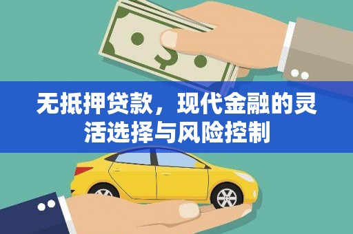 龙沙无抵押贷款，现代金融的灵活选择与风险控制