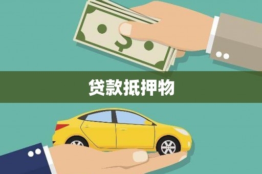 龙沙贷款抵押物