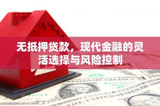 龙沙无抵押贷款，现代金融的灵活选择与风险控制