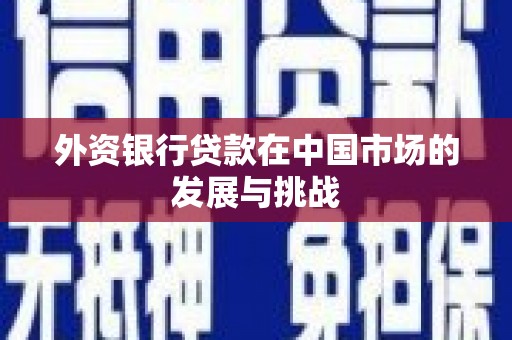 龙沙外资银行贷款在中国市场的发展与挑战