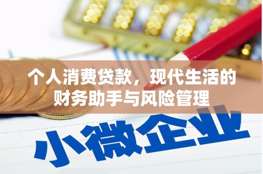 龙沙个人消费贷款，现代生活的财务助手与风险管理